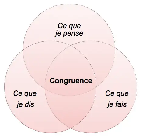 Congruence et assertivité : des clés pour développer votre Leadership | MBTI - congruence