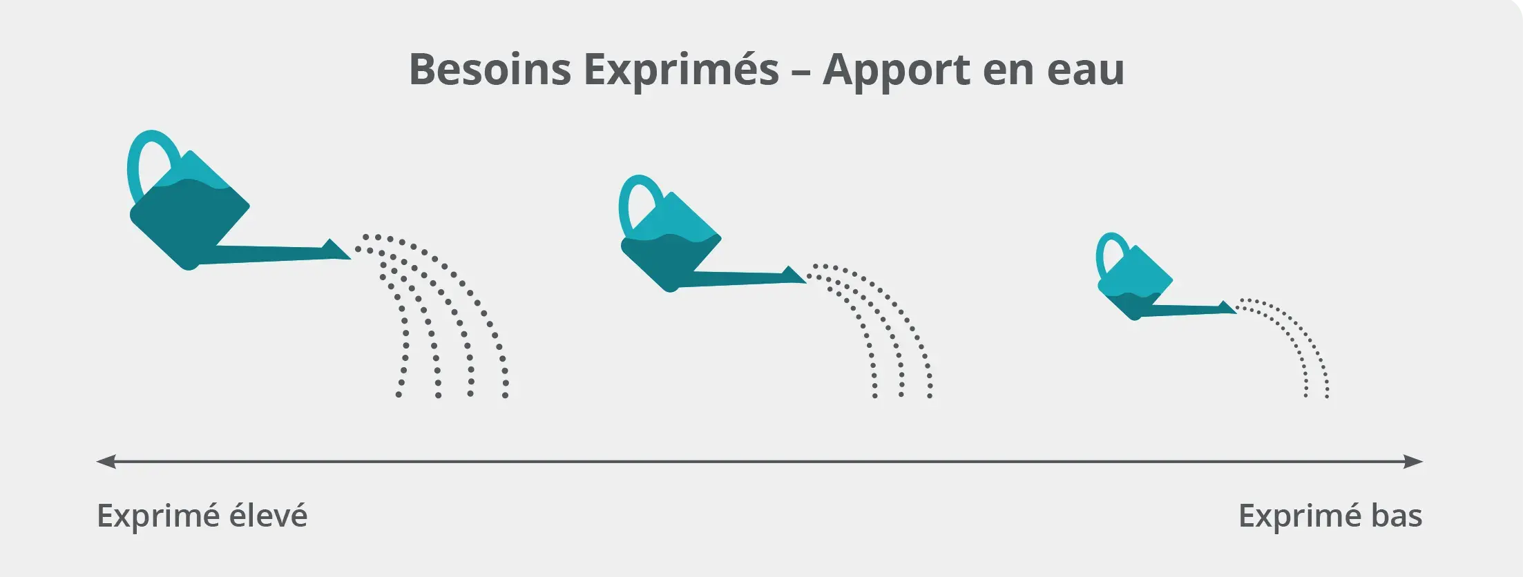 FIRO - Besoins exprimés - Apport en eau