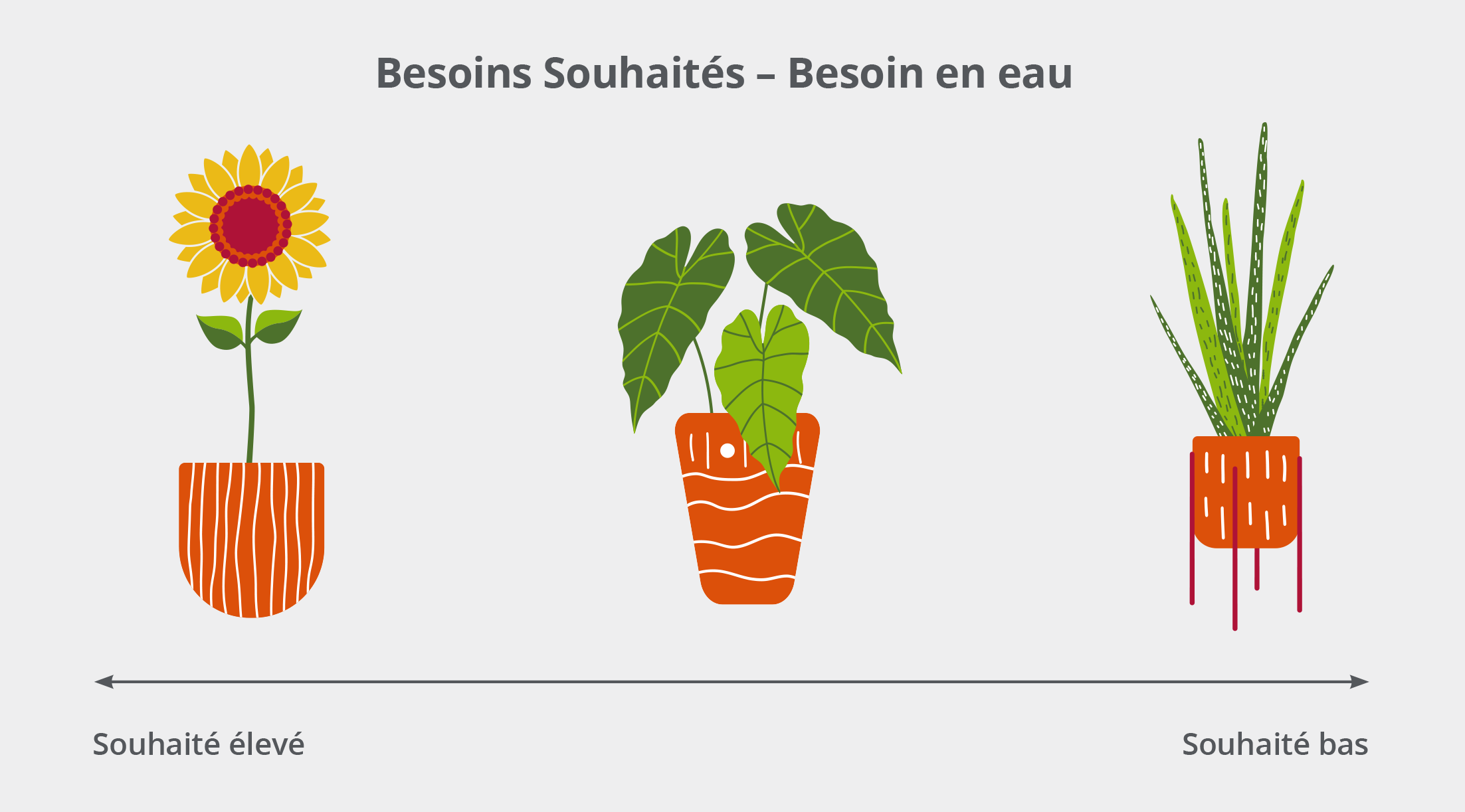 FIRO - Besoins souhaités - Besoin en eau