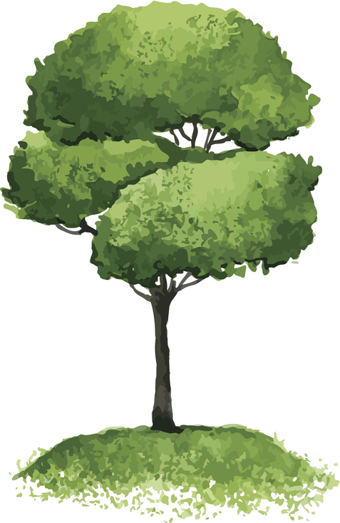  Les ISTJ sont-ils vraiment rigides et les INFP cool et relax? OPP Blog